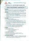 Vista preliminar de documento DIRECTIVA N° 58 -2014-DGP-DRSET/GOB.REG.TACNA5lL9O