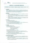 Vista preliminar de documento DIRECTIVA Nº o82-20 14-DGP-DRSET I GOB.REG.TACNA8BL5h