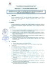 Vista preliminar de documento DIRECTIVA N° 011-2015-DGP-DRSET/GOB.REG.TACNAniESD