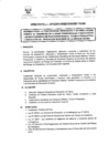 Vista preliminar de documento DIRECTIVA N° 020-2015-DGP-DRSET/GOB.RE.TACNAAKdHV