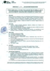 Vista preliminar de documento DIRECTIVA N° 019-2015-DGP-DRSET/GOB.RE.TACNAGHivy