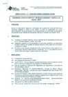 Vista preliminar de documento DIRECTIVA N° 084-2015-DGP-DRSET/GOB.REG.TACNA3dXub