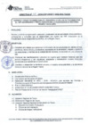 Vista preliminar de documento DIRECTIVA N° 47 - 2016 - DGP - DRSET/GOB.REG.TACNA81VtV