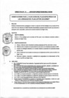 Vista preliminar de documento DIRECTIVA N° 81 - 2016 - DGP - DRSET/GOB.REG.TACNAyxqKi