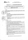 Vista preliminar de documento DIRECTIVA N° 84 - 2016- DGP - DRSET/GOB.REG.TACNAn1EOO