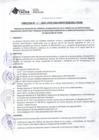 Vista preliminar de documento DIRECTIVA Nº 11-2017-UPER-OAD-DRSET/GOB.REG.TACNA2CjKU