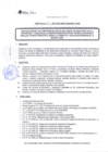 Vista preliminar de documento DIRECTIVA N° 23-2017-DGP-DRSET/GOB.REG.TACNAiUW9E