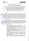 Vista preliminar de documento DIRECTIVA N° 37-2017-DGP-DRSET/GOB.REG.TACNAdi5hs
