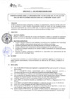 Vista preliminar de documento DIRECTIVA Nº 41-2017-DGP-DRSET-GOB.REG.TACNA5Rjg6