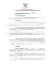 Vista preliminar de documento DIRECTIVA N° 74-2017-DGP-DRSET/GOB.REG.TACNA 7auOm