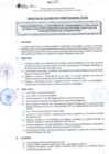 Vista preliminar de documento DIRECTIVA N° 022-2018-DGP-DRSET/GOB.REG.TACNAHZ1eP