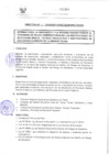Vista preliminar de documento DIRECTIVA N° 064-2018-DGP-DRSET/GOB.REG.TACNA2OU7b