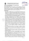 Vista preliminar de documento rt_909