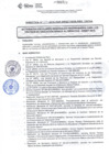 Vista preliminar de documento DIRECTIVA Nº 028 - 2019 - DGP - DRSET/GOB.REG.TACNAJuTDZ
