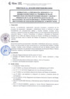 Vista preliminar de documento DIRECTIVA N° 041-2019-DGP-DRSET/GOB.REG.TACNAVjJ2E