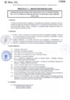 Vista preliminar de documento DIRECTIVA N° 001-2020-DGP-DRET/GOB.REG.TACNAhrBz2