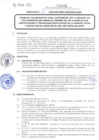 Vista preliminar de documento DIRECTIVA N° 10-2020-DGP-DRET/GOB.REG.TACNAWruuW