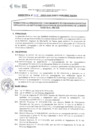 Vista preliminar de documento DIRECTIVA Nº 016-2020-DGP-DRET/GOB.REG.TACNAUjUCm