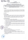 Vista preliminar de documento DIRECTIVA Nº 020-2020-DGP-DRET/GOB.REG.TACNAHPkNw