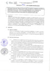 Vista preliminar de documento DIRECTIVA Nº 025-2020-DGP-DRET/GOB.REG.TACNAQA02z