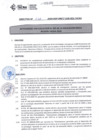 Vista preliminar de documento DIRECTIVA Nº 028-2020-DGP-DRET/GOB.REG.TACNA0596n