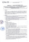 Vista preliminar de documento DIRECTIVA Nº 033-2020-DGP-DRET/GOB.REG.TACNAr6aNC
