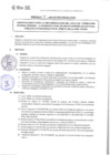Vista preliminar de documento DIRECTIVA N° 011-2021-DGP-DRET/GOB.REG.TACNAmROaU