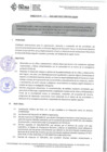 Vista preliminar de documento  DIRECTIVA N° 25-2021-DGP-DRET/GOB.REG.TACNAMlotA