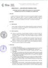 Vista preliminar de documento DIRECTIVA N° 035-2021-DGP-DRET/GOB.REG.TACNARxvtP