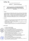 Vista preliminar de documento DIRECTIVA N° 041-2021-DGP-DRET/GOB.REG.TACNAE1FeM