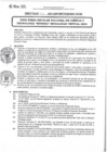 Vista preliminar de documento  DIRECTIVA N° 32-2021-DGP-DRET/GOB.REG.TACNALUJuN