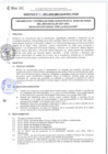 Vista preliminar de documento DIRECTIVA N° 040-2021-DGP-DRET/GOB.REG.TACNAvesDP