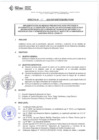 Vista preliminar de documento DIRECTIVA N°009-2022-DGP-DRET/GOB.REG.TACNAm1WWa