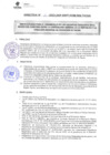 Vista preliminar de documento DIRECTIVA N° 10-2023-DGP-DRET/GOB.REG.TACNAUv9y3