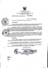 Vista preliminar de documento DIRECTIVA N° 11-2023-DGP-DRET/GOB.REG.TACNAm2gHG