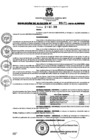 Vista preliminar de documento resolucion4712019