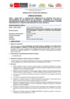 Vista preliminar de documento PROCESO CAS N° 033-2023 PROFESIONAL NO DOCENTE PARA EL DESARROLLO