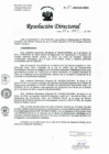 Vista preliminar de documento RD-119-2023-DG-HNHU
