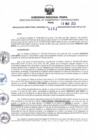 Vista preliminar de documento RDR N° 0263-2023-19-05-2023