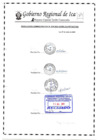 Vista preliminar de documento Resolución Administrativa 019-2021-GORE-ICA-PETACC
