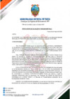 Vista preliminar de documento conformación de eliminación de Archivos