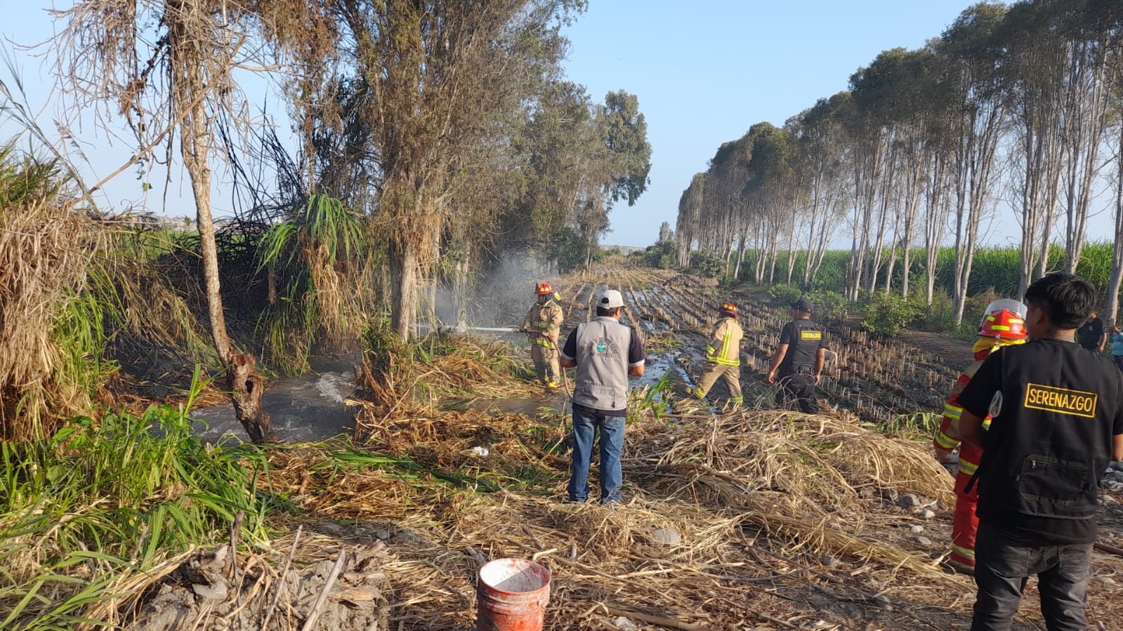 Serenazgo Acude Ante Alerta De Incendio Forestal En Galpón