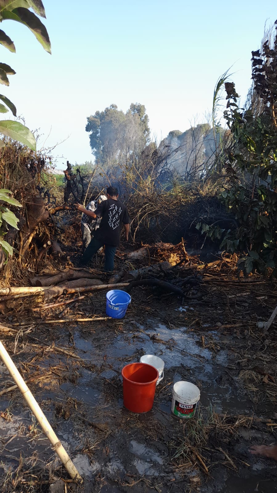 Serenazgo Acude Ante Alerta De Incendio Forestal En Galpón