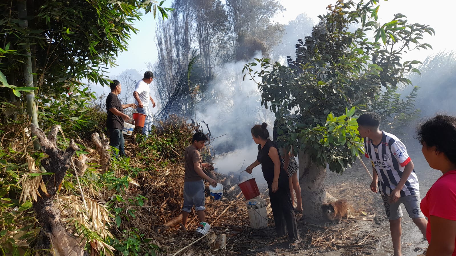 Serenazgo Acude Ante Alerta De Incendio Forestal En Galpón