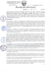 Vista preliminar de documento Resolución Directoral Nº 192
