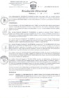 Vista preliminar de documento Resolución Directoral Nº 215