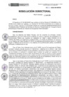 Vista preliminar de documento RD-87-2023-DE-HEVES