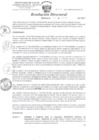 Vista preliminar de documento Resolución Directoral Nº 211