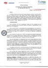 Vista preliminar de documento ACR N040