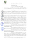 Vista preliminar de documento r173